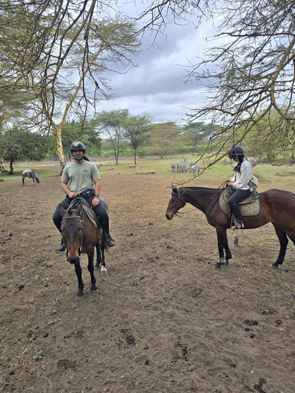 Couple riding horses near zebra in northern Tanzania
